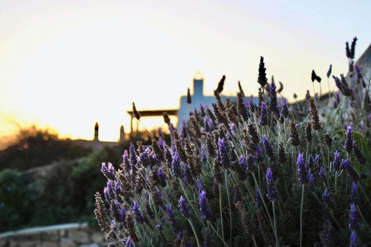 Newly Built Spectacular Sunset Villa At St. John, Mykonos Mykonos Town 0*,  Греция